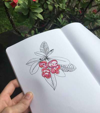 Bali sketchbook